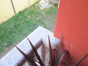 balaustrada rosa
